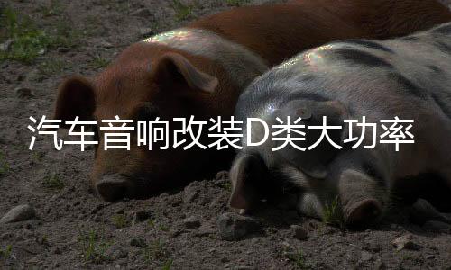 汽車音響改裝D類大功率發(fā)燒級(jí)車載純重低音功放主推雙音圈低音炮