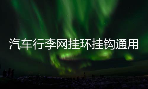 汽車行李網(wǎng)掛環(huán)掛鉤通用多功能車內用車載后備箱網(wǎng)兜固定安裝配件