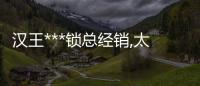 漢王***鎖總經(jīng)銷,太原***鎖,山西龍城科密