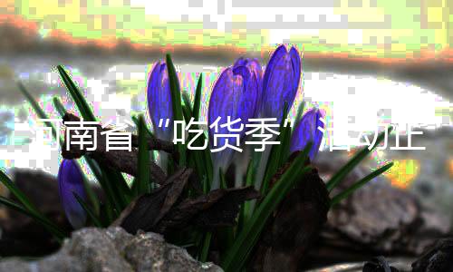 河南省“吃貨季”活動(dòng)正式啟動(dòng)