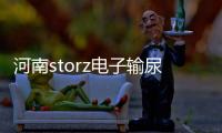 河南storz電子輸尿管軟鏡維修
