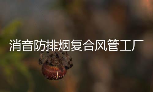 霞山高耐磨定制防粘聚乙烯襯板