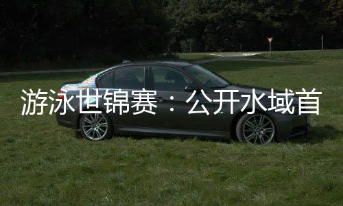 游泳世錦賽:公開水域首日比賽推遲后順利舉行