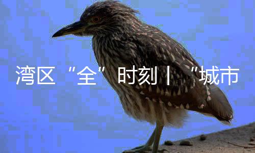 灣區(qū)“全”時(shí)刻丨“城市+運(yùn)動(dòng)” 當(dāng)一項(xiàng)運(yùn)動(dòng)刻入城市記憶……