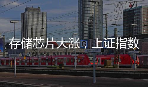 存儲(chǔ)芯片大漲，上證指數(shù)“金針探底”，高手怎么看？