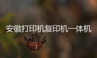 安徽打印機(jī)復(fù)印機(jī)一體機(jī)租賃、維修銷售