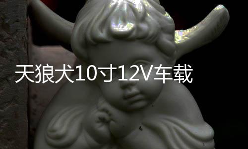 天狼犬10寸12V車載有源音響汽車低音炮超大功率藍牙音箱功放喇叭