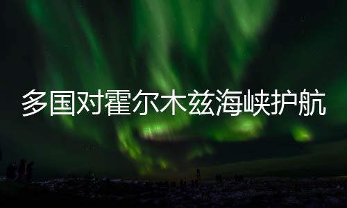山西花紋卷多少錢一噸