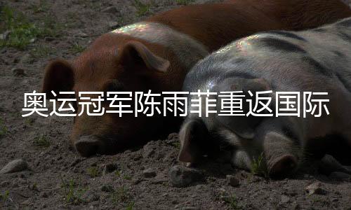 奧運冠軍陳雨菲重返國際賽場：很開心能重新為國而戰(zhàn)