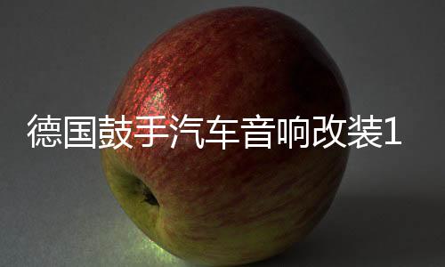 德國(guó)鼓手汽車音響改裝10寸低音喇叭12寸無源低音炮雙音圈超重低音
