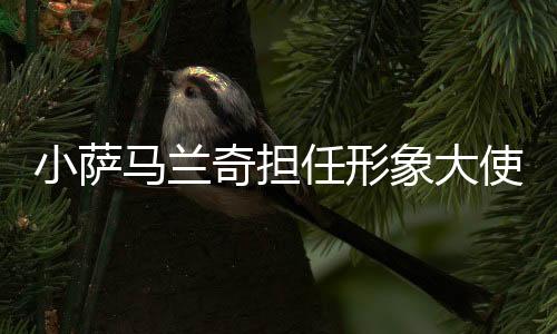 小薩馬蘭奇擔(dān)任形象大使 2025上海中心高塔競(jìng)速挑戰(zhàn)賽將于11月開賽