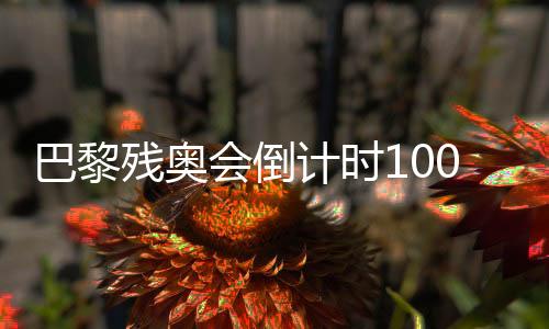 巴黎殘奧會(huì)倒計(jì)時(shí)100天 我國(guó)已獲19個(gè)大項(xiàng)參賽資格