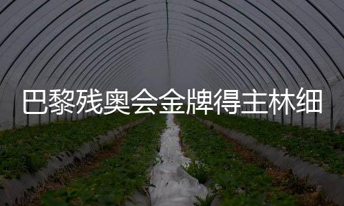 巴黎殘奧會金牌得主林細(xì)妹、麥建朋談奪冠感想 盼未來再創(chuàng)佳績