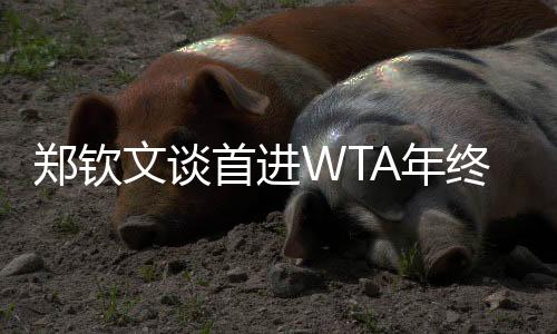 鄭欽文談首進(jìn)WTA年終總決賽:先把身體與精神恢復(fù)到最佳狀態(tài)