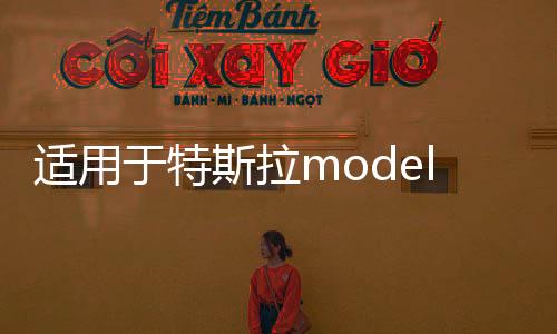 適用于特斯拉model3 modely門(mén)檻條保護(hù)防踢迎賓踏板改裝內(nèi)飾配件