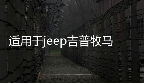 適用于jeep吉普牧馬人汽車改裝車門合頁尾門備胎支架合葉裝飾配件