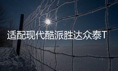 適配現(xiàn)代酷派勝達(dá)眾泰T700中華尊馳原裝電瓶瓦爾塔70A汽車(chē)蓄電池