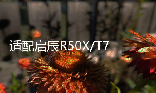 適配啟辰R50X/T70X/D50/R30/R50/M50V/D60原裝電瓶風(fēng)帆汽車(chē)蓄電池