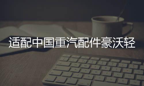 適配中國重汽配件豪沃輕卡悍將統(tǒng)帥玻璃升降器開關(guān)門控鎖車窗開關(guān)