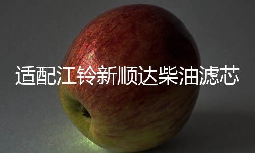 適配江鈴新順達(dá)柴油濾芯 空氣濾芯 機(jī)油濾芯 新順達(dá)國四三濾 四濾