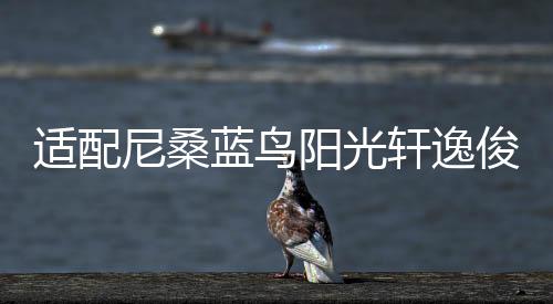 適配尼桑藍(lán)鳥陽光軒逸俊逸頤達騏達逍客原裝瓦爾塔蓄電池汽車電瓶