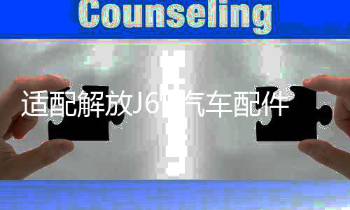 適配解放J6P汽車配件j6駕駛室電動(dòng)油泵電機(jī)舉升泵底座油封修理包