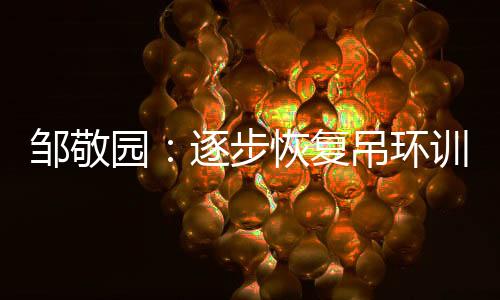 鄒敬園：逐步恢復(fù)吊環(huán)訓練，期待世錦賽有好的表現(xiàn)