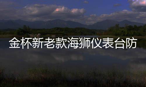 金杯新老款海獅儀表臺防曬避光墊汽車中控臺內(nèi)飾改裝專用裝飾配件