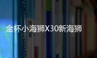金杯小海獅X30新海獅X30L改裝飾汽車配件中控儀表臺(tái)盤(pán)防曬避光墊