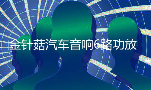 金針菇汽車音響6路功放6聲道放大器推3分頻中置低音炮發(fā)燒級改裝