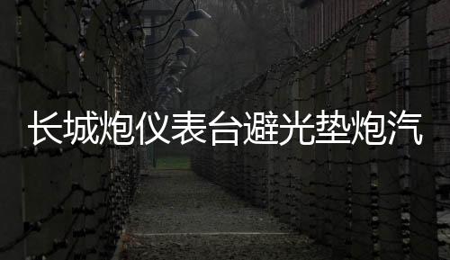 長城炮儀表臺(tái)避光墊炮汽車內(nèi)飾裝飾用品配件中控臺(tái)改裝防滑防曬墊