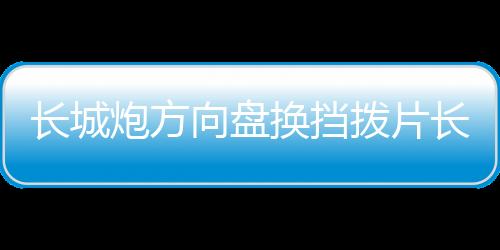 長城炮方向盤換擋撥片長城炮皮卡內(nèi)飾裝飾金屬改裝配件多色可選