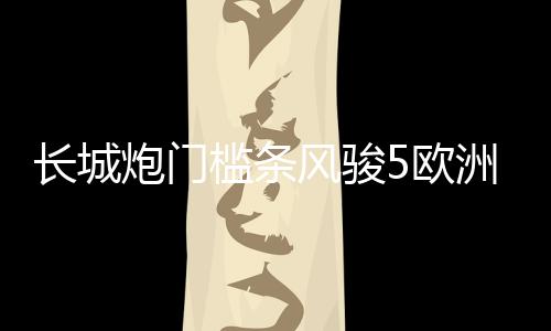 長城炮門檻條風(fēng)駿5歐洲版改裝配件6迎賓踏板7車內(nèi)飾裝飾汽車用品