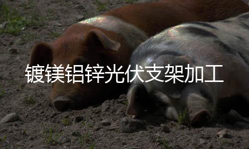 隱藏軌機(jī)械手模具訂制