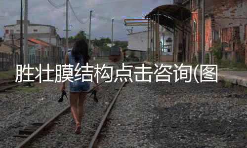 奧東耐磨材料發(fā)貨及時