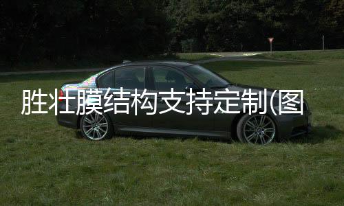 TPR耐斯寵物玩具塑料
