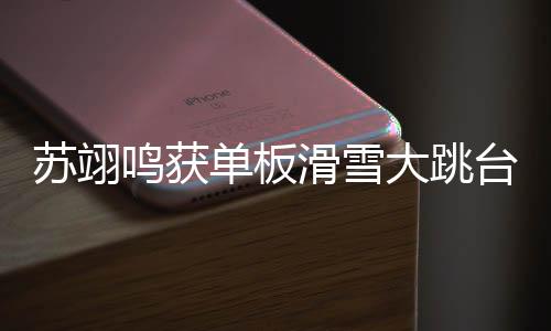蘇翊鳴獲單板滑雪大跳臺世界杯賽季總冠軍