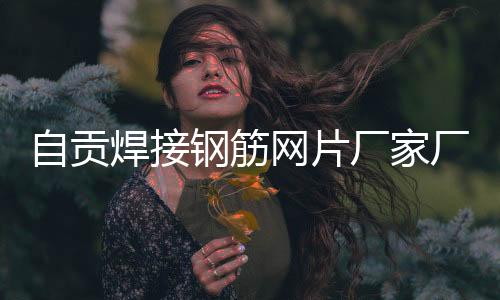 生產(chǎn)鋅鋼護欄廠報價表