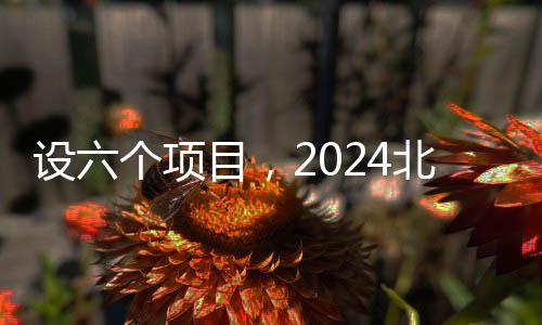 設(shè)六個項目，2024北京市中小學(xué)生智力運動會舉行