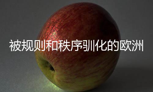 被規(guī)則和秩序馴化的歐洲足球困于嚴謹過頭的流程