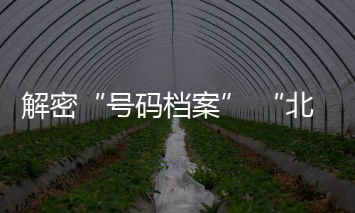 解密“號(hào)碼檔案” “北京籃球歷史文化季第二季”啟動(dòng)