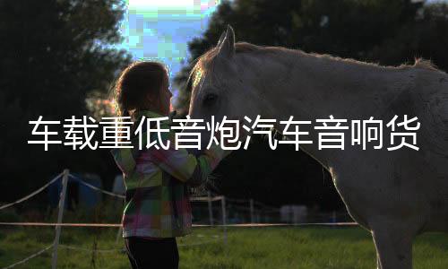 車載重低音炮汽車音響貨車12v24v220v家用無線藍牙音箱電腦小鋼炮