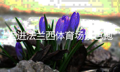走進法蘭西體育場紫色跑道，千分秒之差何以呈現(xiàn)？