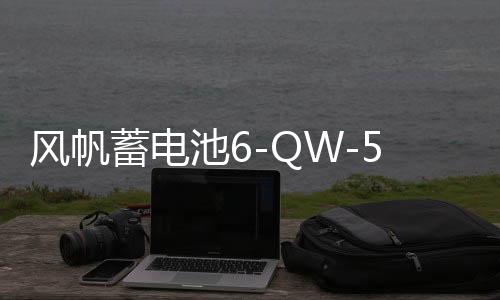 風(fēng)帆蓄電池6-QW-54(產(chǎn)品升級為T6)適用桑塔納志俊12V汽車電瓶
