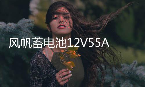 風(fēng)帆蓄電池12V55AH福特55-27嘉年華翼博馬自達(dá)2/3長城C30汽車電瓶
