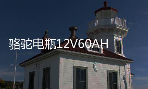 駱駝電瓶12V60AH適配長(zhǎng)安逸動(dòng)悅翔睿騁志翔蓮花汽車蓄電池L2350