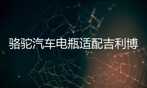 駱駝汽車電瓶適配吉利博越福特福睿斯福克斯T6(60AH)蓄電池