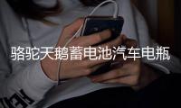 駱駝天鵝蓄電池汽車電瓶12V60AH55D26L馬自達6凱美瑞漢蘭達海馬S6