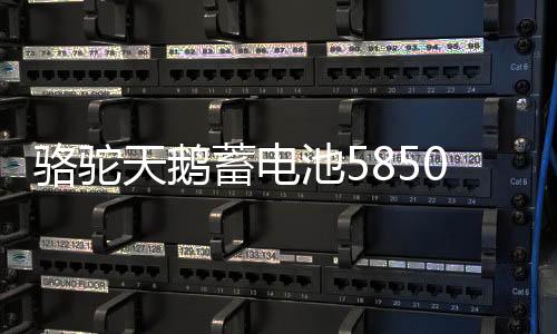 駱駝天鵝蓄電池58500免維護12V48AH五菱之光榮光原裝汽車電瓶