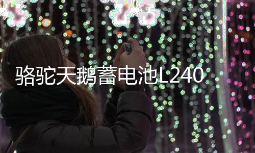 駱駝天鵝蓄電池L2400適配高爾夫邁騰明銳捷達力帆12V60AH汽車電瓶